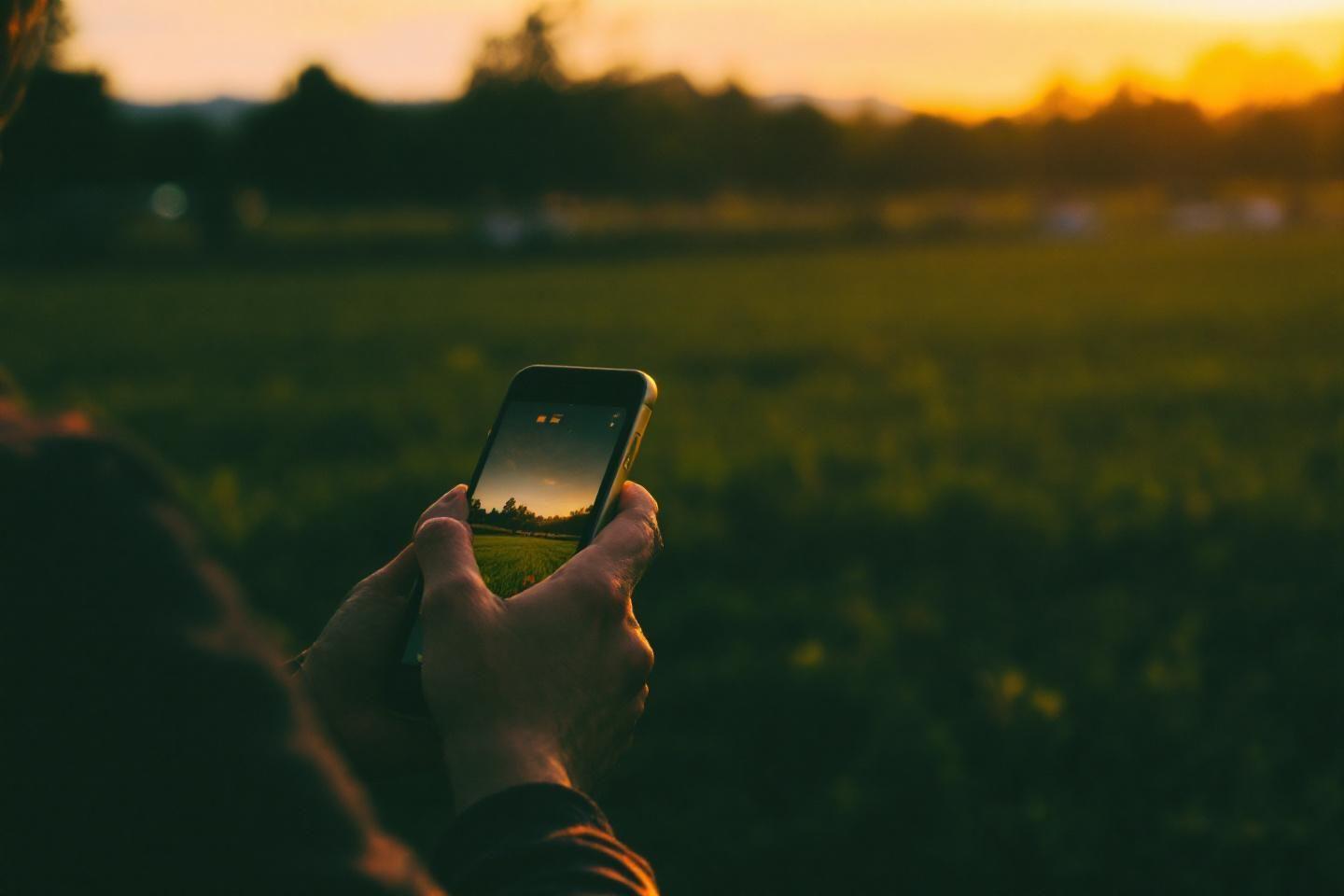 Main tenant un smartphone photographiant un paysage verdoyant au crépuscule